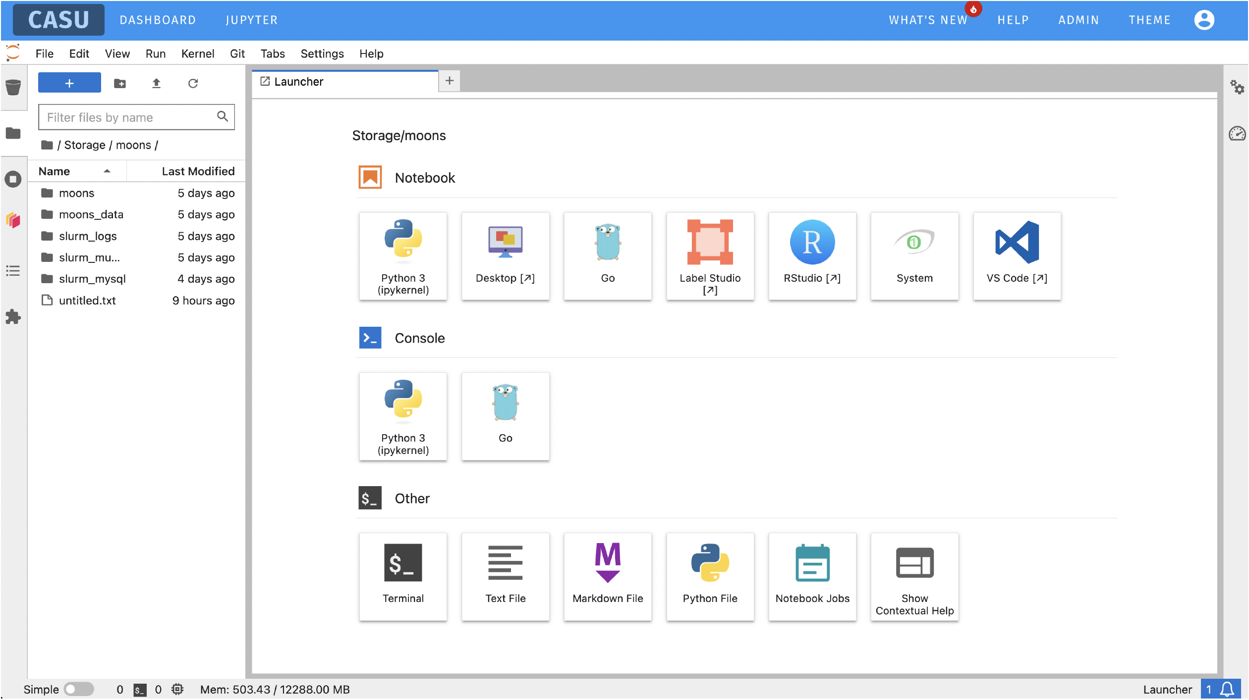 CAMCEADHUB user JupyterLab instance
