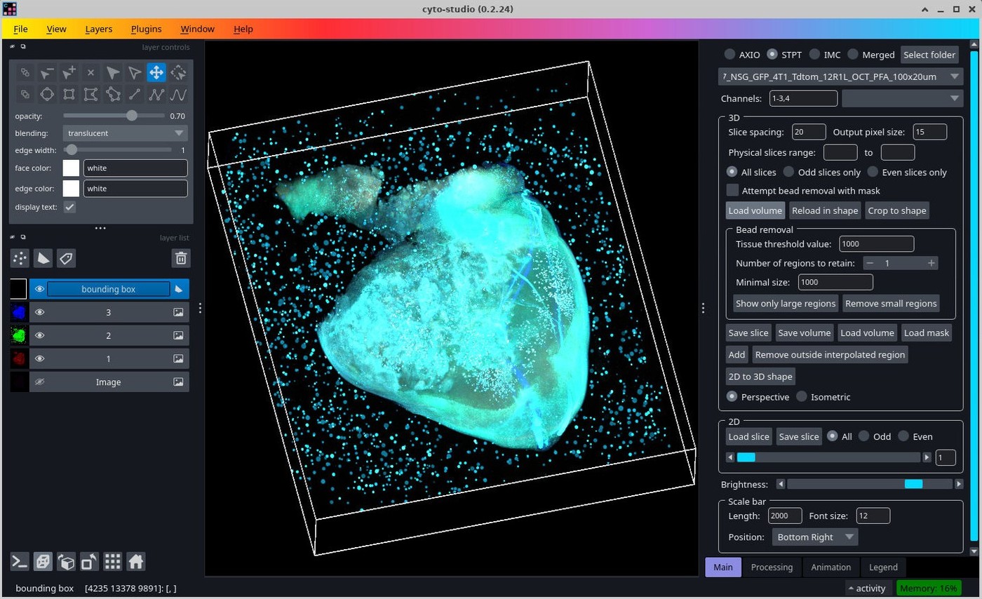 Cyto Studio viewer showing a 3D multiplexed imaging dataset