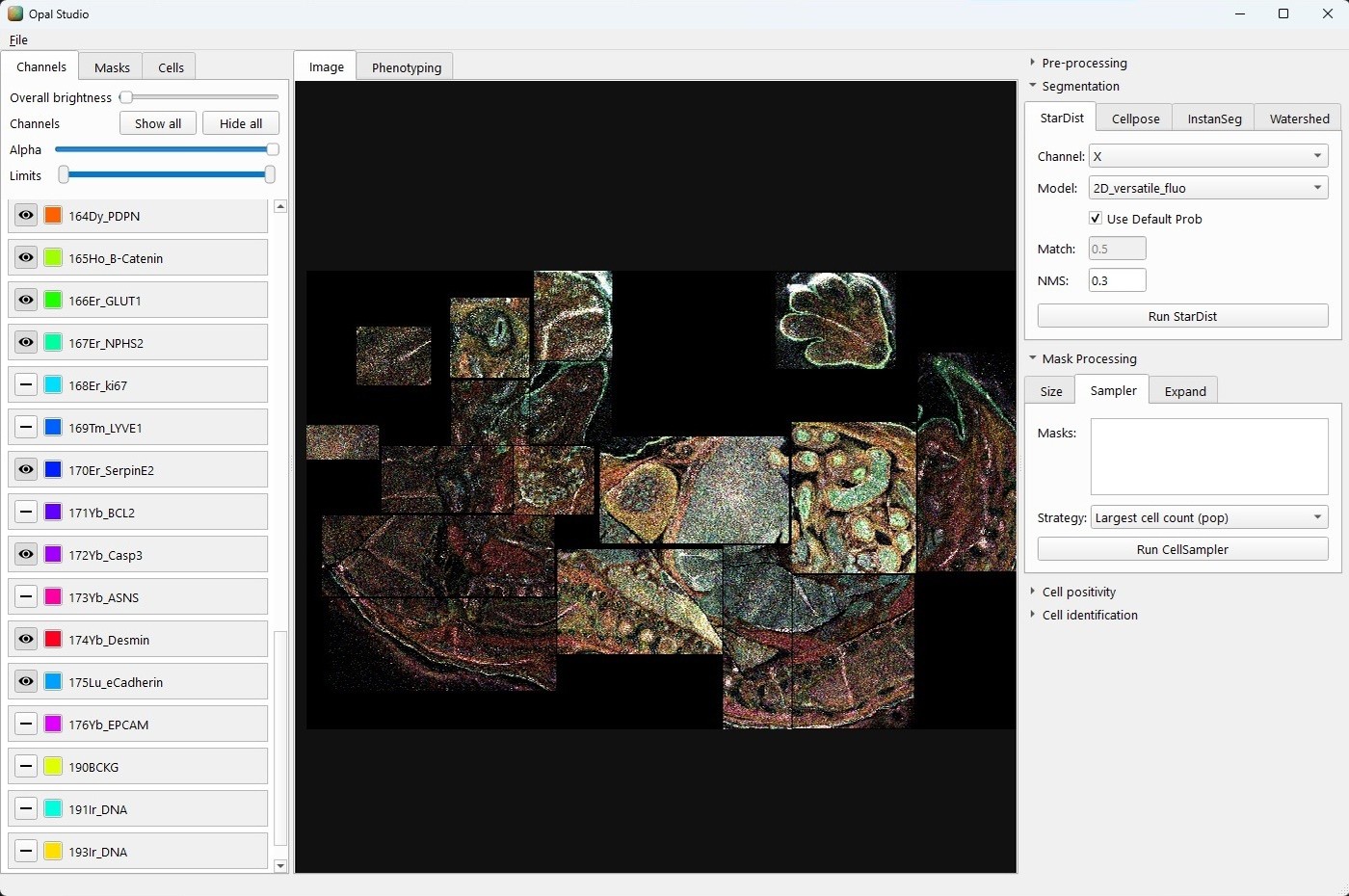 Opal Studio viewer showing multiplexed imaging channels and segmentation tools